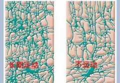 儿童香蕉视频污污版下载厂家科普运动可以有效促进儿童智力发育
